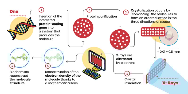 Xray crystallography for SARSCoV2